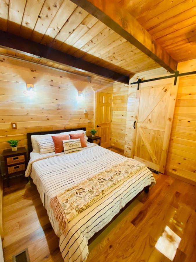 Lakeview Cabin In The Hideout Lake Ariel エクステリア 写真